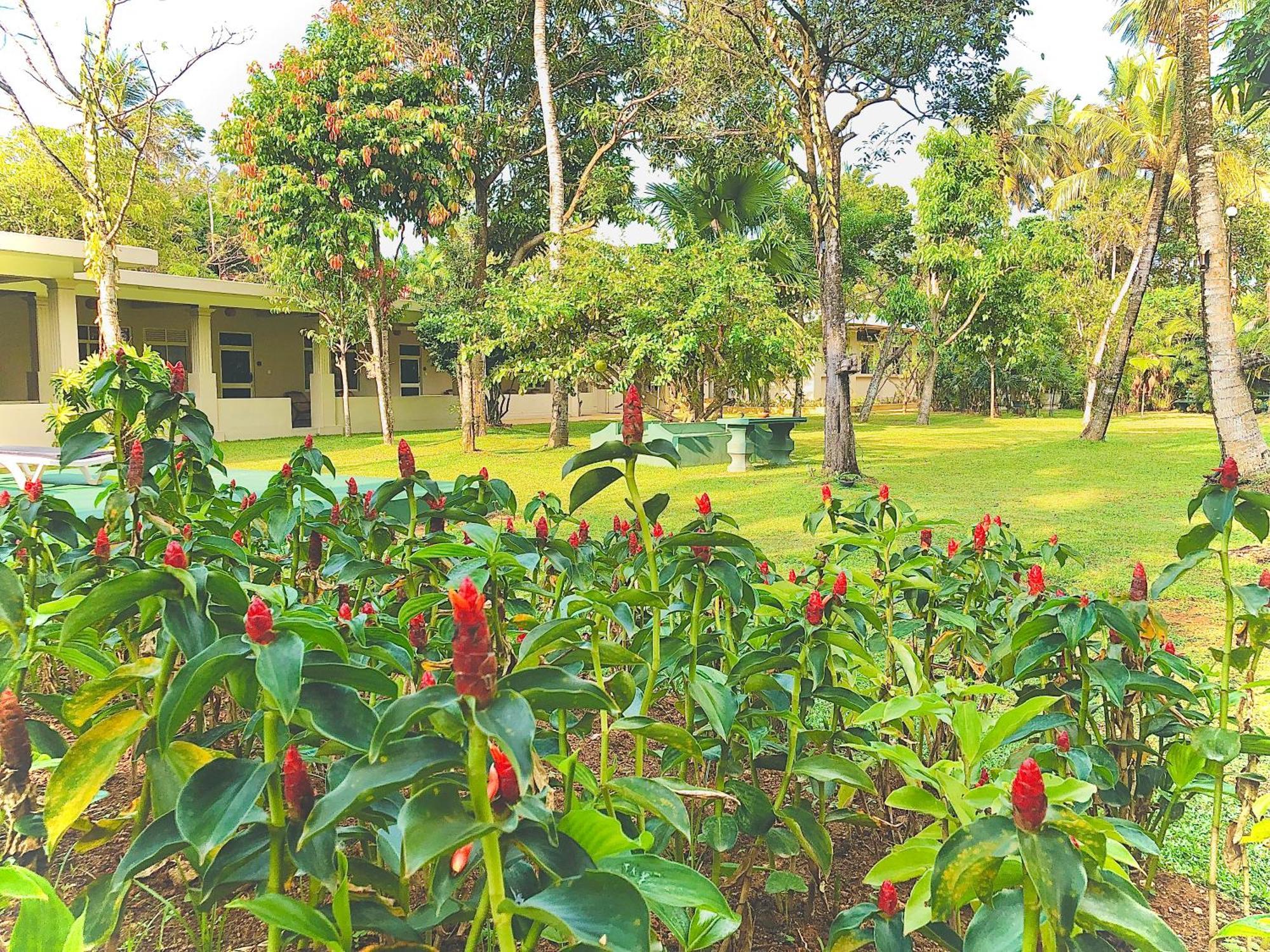 Paradise Garden Beruwala Exterior foto